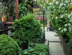Гостевой дом Veles (Велес), Экстерьер - фото 8