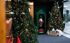 Новогодняя резиденция «Дед мороз Express»