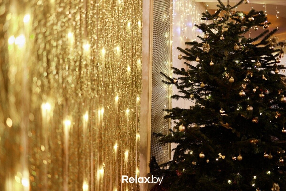 Новый год 2026 Банкетный зал «Царицыно» - фото 7776050