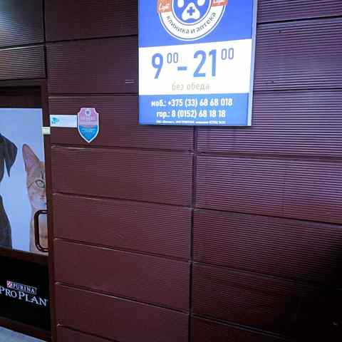 ветеринарный центр друг. Skolkovo vet ветеринарная клиника. ветлечебница гродно. ветлечебница гродно. Impulse ветеринарная клиника.