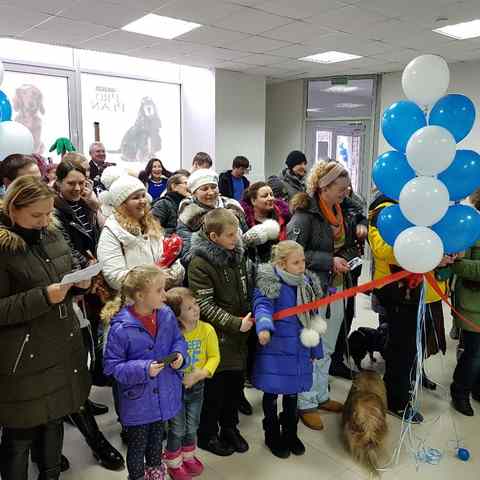 ветеринарная клиника могилев ямницкий телефон. Смотреть фото ветеринарная клиника могилев ямницкий телефон. Смотреть картинку ветеринарная клиника могилев ямницкий телефон. Картинка про ветеринарная клиника могилев ямницкий телефон. Фото ветеринарная клиника могилев ямницкий телефон