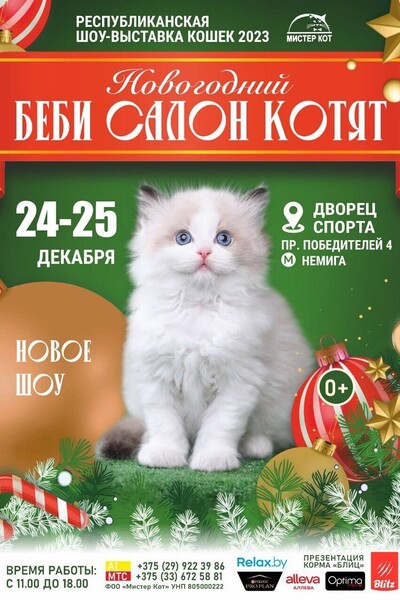 Новогодний Беби Салон Котят — 2023! Республиканская шоу-выставка кошек