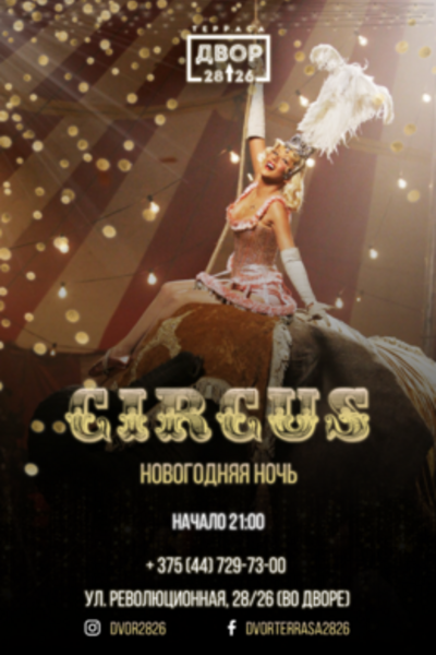 Circus: волшебная ночь