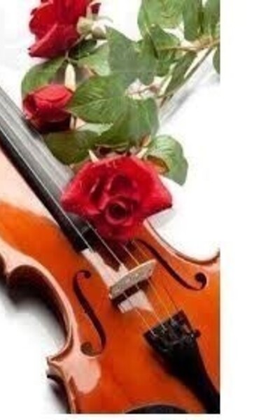 Романтический вечер скрипки и танцевальная проограмма