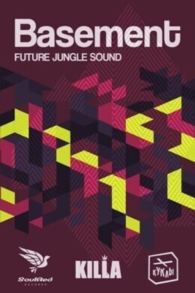 BASEMENT: Future Jungle Sound
