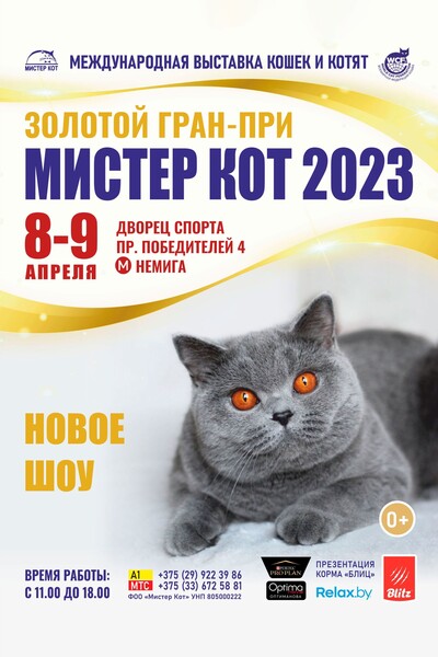 «Золотой Гран-При Мистер Кот – 2023!» Международная выставка кошек и котят