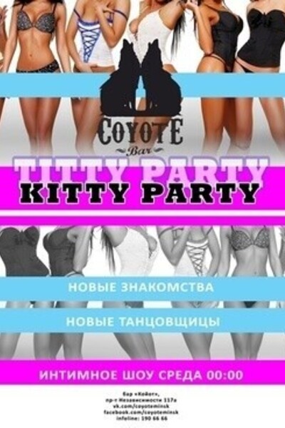 Kitty Party