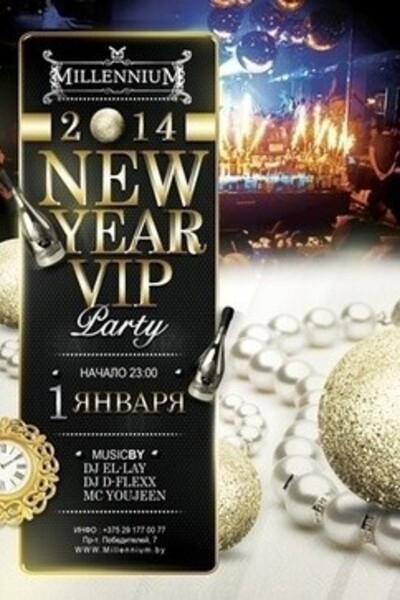 New Year VIP party