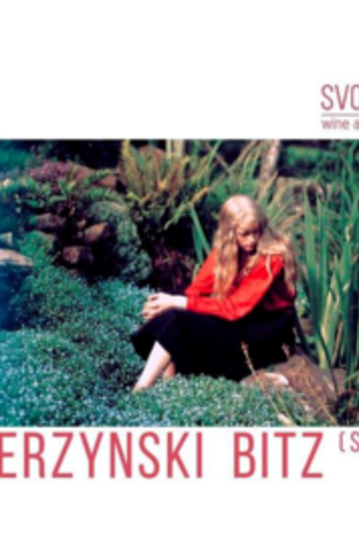 Концерт группы Dzierzynski Bitz + Shumilin