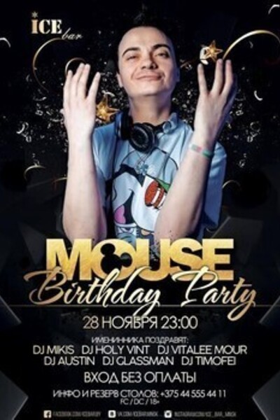 Mouse Birthday Party