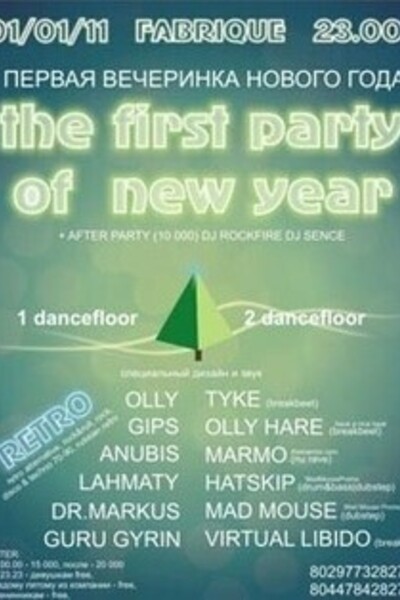 The First party of new year