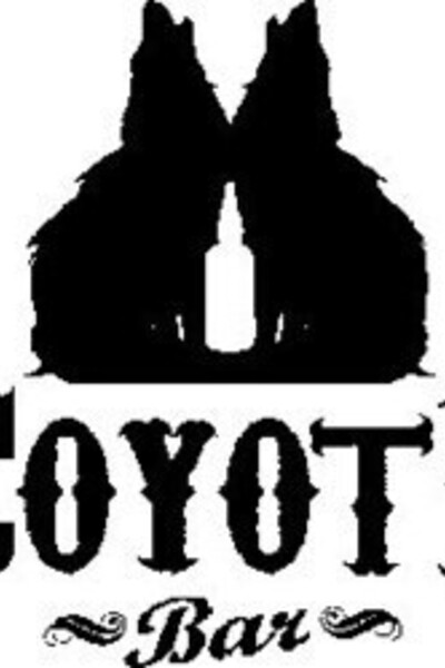 Ди-джеи резиденты бара «Coyote»