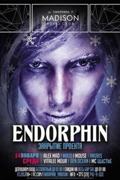 Закрытие проекта Endorphin