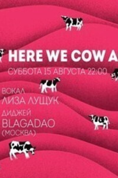 Here We Cow Again