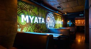 Мята Lounge X