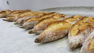 В Минске открылось пятое заведение сети Bro Bakery. Рассказываем, где