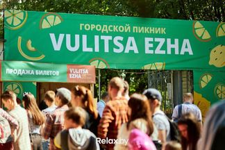 «Событие на 9 из 10». Как прошел первый в сезоне городской пикник Vulitsa Ezha