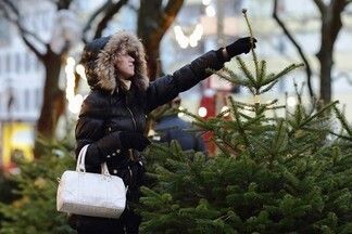 Елки в Минске начнут продавать 22 декабря: маленькая — до 150 000 рублей
