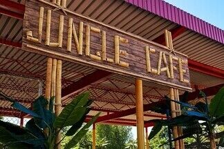 В «Дримлэнде» откроется новая летняя площадка Jungle Cafe