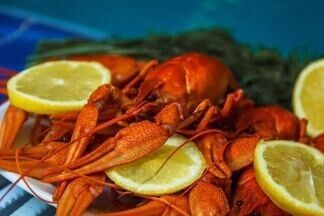 Паэлья, вареные раки и колдбрю: блюда и напитки, ради которых стоит прийти на Vulitsa Ezha