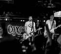 Coyote Live, фото № 38