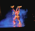 Cirque du Soleil: Dralion в Ледовом дворце (Санкт-Петербург), фото № 91