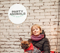 Party Animals pet market New Year 2021, фото № 68