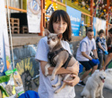 Party Animals pet market, фото № 49