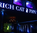 Planet “Rich Cat”, фото № 1