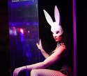 Playboy Party, фото № 41