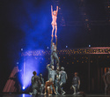 Cirque du Soleil "Quidam", фото № 219
