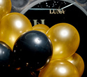 Restaurant LUNA - opening, фото № 105