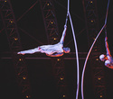 Cirque du Soleil "Quidam", фото № 166