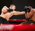 6й турнир WTKF6 по MMA и К-1 дисциплинам, фото № 150