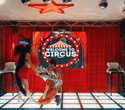 Welcome to circus, фото № 8