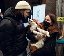 Party Animals pet market New Year 2021, фото № 61