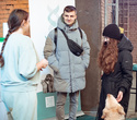 Party Animals pet market New Year 2021, фото № 29