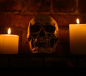 Live Music, фото № 7