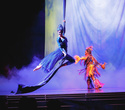 Cirque du Soleil: Dralion в Ледовом дворце (Санкт-Петербург), фото № 48