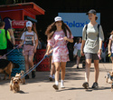 Party Animals pet market, фото № 81