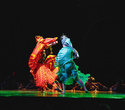 Cirque du Soleil: Dralion в Ледовом дворце (Санкт-Петербург), фото № 98