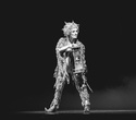 Cirque du Soleil: Dralion в Ледовом дворце (Санкт-Петербург), фото № 41