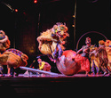 Cirque du Soleil: Dralion в Ледовом дворце (Санкт-Петербург), фото № 118