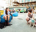 Party Animals pet market, фото № 182