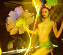 Brazilian Carnaval, фото № 18