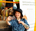 Party Animals pet market, фото № 49