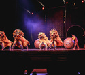 Cirque du Soleil: Dralion в Ледовом дворце (Санкт-Петербург), фото № 115