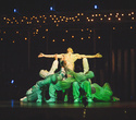Cirque du Soleil "Quidam", фото № 174