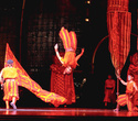 Cirque du Soleil: Dralion в Ледовом дворце (Санкт-Петербург), фото № 82