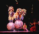 Cirque du Soleil: Dralion в Ледовом дворце (Санкт-Петербург), фото № 117